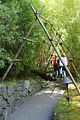 153 - Butchard Gardens  - IMG_1713